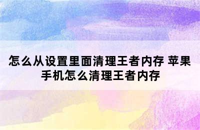 怎么从设置里面清理王者内存 苹果手机怎么清理王者内存